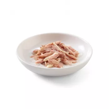 SCHESIR Tuncis ar vistu želejā - mitrā kaķu barība - 85g
