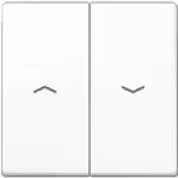JUNG AS 591-5 PBF WW - Balta - 509 VU - 539 VU - IP44