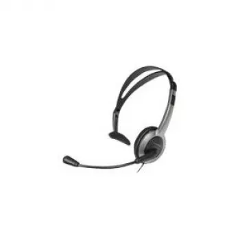 Panasonic RP-TCA430E-S - Austiņas - Uz auss - Ar vadu (RP-TCA430E-S)