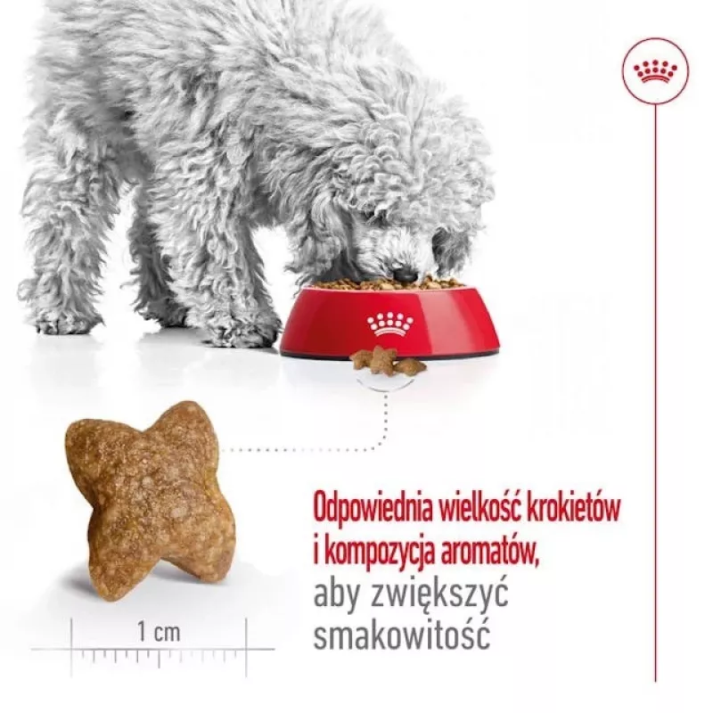ROYAL CANIN Adult Mini S - sausā suņu barība - 4kg