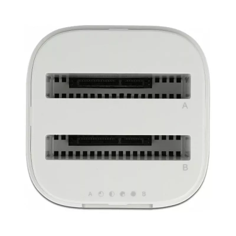 Dokstacija DeLOCK USB Type-C™ 3.2 diviem 2,5 collu SATA HDD/SSD