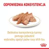 ROYAL CANIN Shih Tzu Adult mitrā suņu barība Pâté 12x85 g