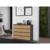 Topeshop M8 120 ANT/ART KPL kumode