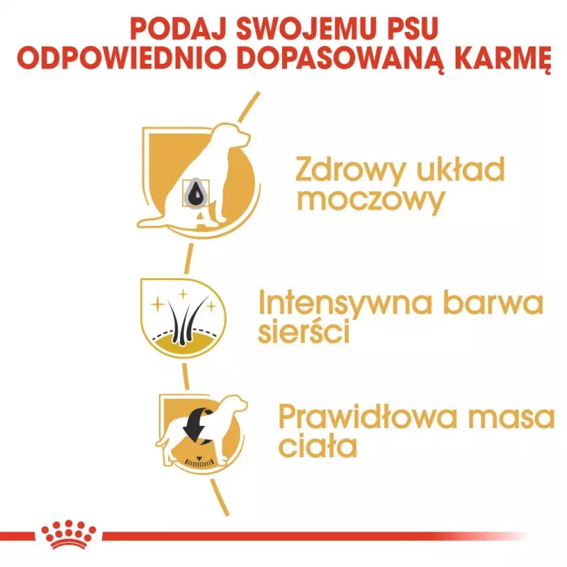 Sausā suņu barība Royal Canin Miniature Schnauzer Adult, mājputnu gaļa, 3 kg, mazām šķirnēm