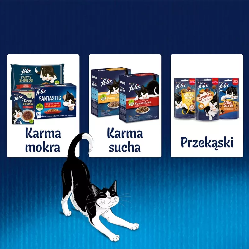 Mitrā kaķu barība Purina Nestlé Felix Fantastic Junior 85 g paciņa — vista, 77,5% mitrums, 13,5% olbaltumvielas