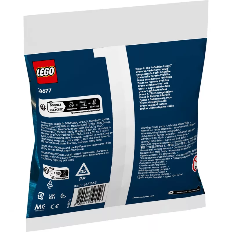 LEGO Harry Potter konstruktora komplekts 30677 – Drako Aizliegtajā mežā minifigūras aina