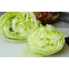Dārza salātu 'Crisp Ice Lettuce Summer Toraf' sēklas, 1 g iepakojumā