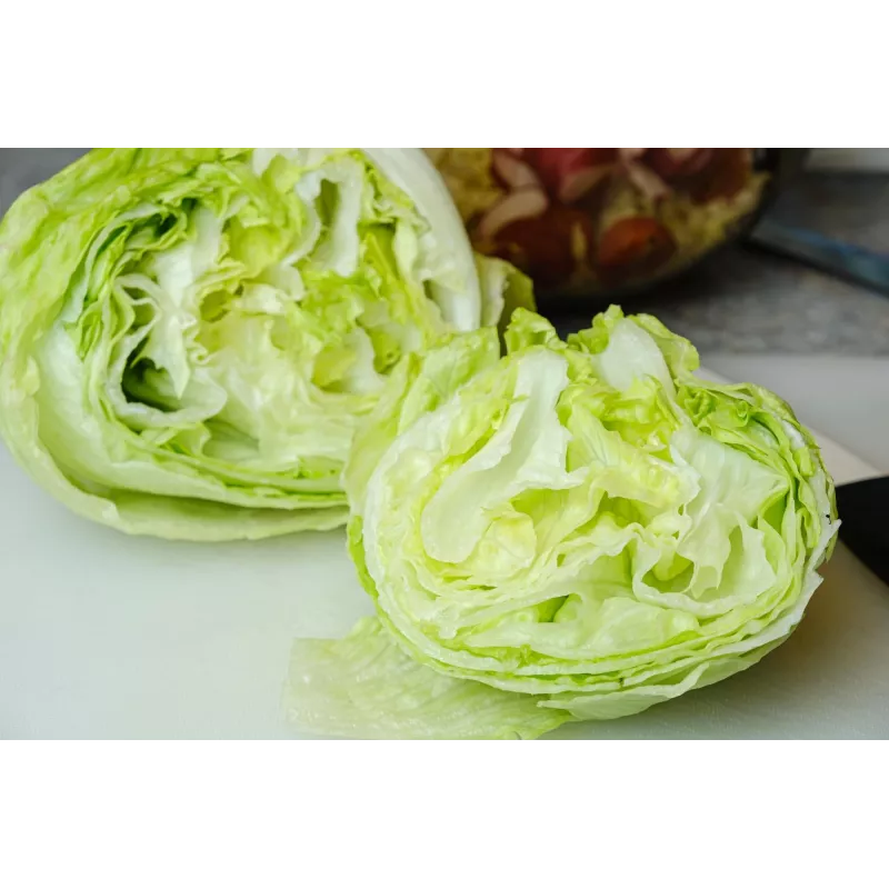 Dārza salātu 'Crisp Ice Lettuce Summer Toraf' sēklas, 1 g iepakojumā