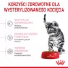 Sausā kaķu barība Royal Canin Kitten Sterilised 3,5 kg — mājputnu gaļa, 34% proteīnu, 12% tauku