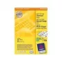 Pašlīmējošās etiķetes Avery Universal 105x148mm Zaļa
