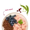 BOSCH Sanabelle Adult Chicken & Blueberries - sausā kaķu barība - 2kg