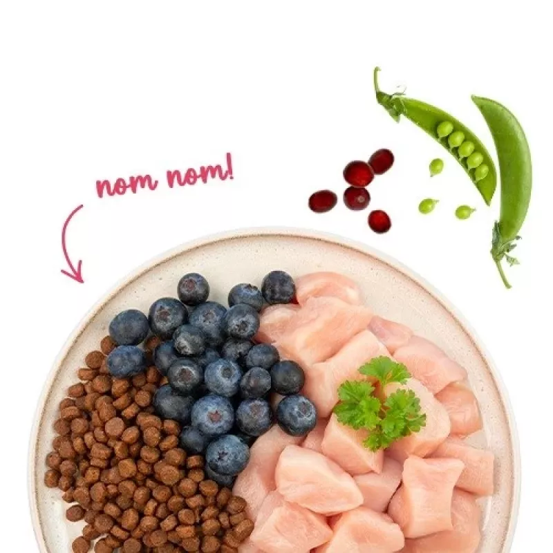 BOSCH Sanabelle Adult Chicken & Blueberries - sausā kaķu barība - 2kg