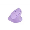 NATEC Crake 2 pele Universāla Labroču RF Bezvadu + Bluetooth Optiskā 2400 DPI