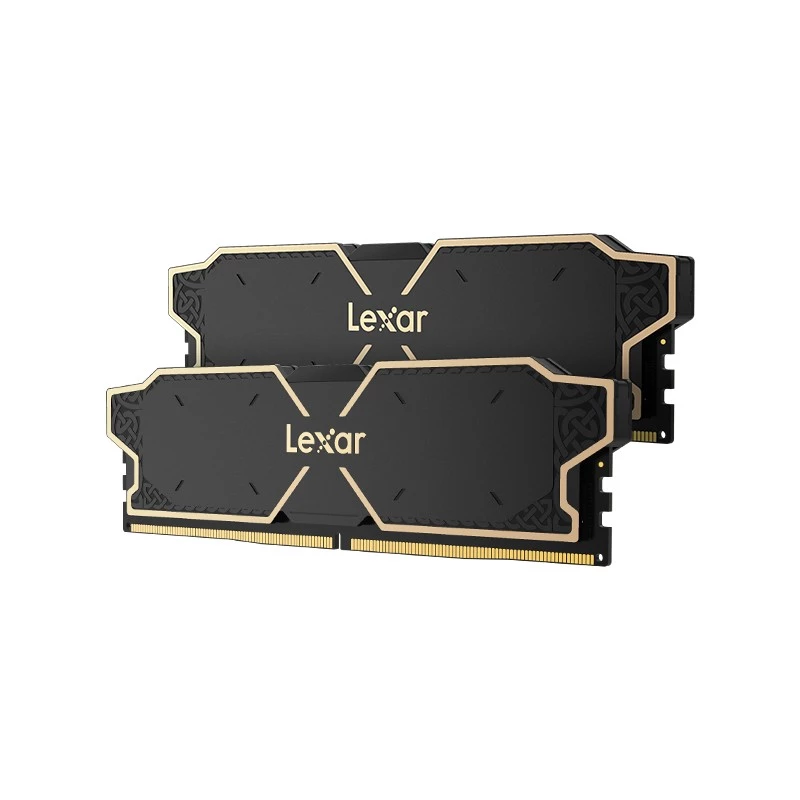 Lexar LD5U08G60C38LG-RGD atmiņas modulis