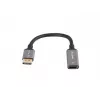 Lanberg AD-DP-HD-04 video kabeļa adapteris 0.2 m DisplayPort HDMI