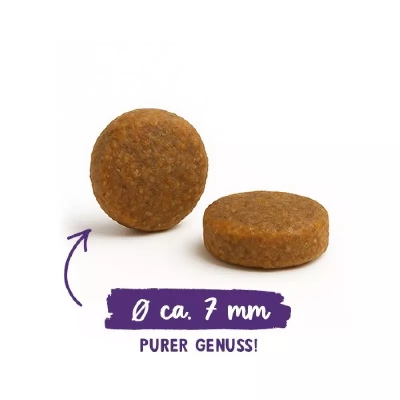 BOSCH Sanabelle Adult Ostrich & Blueberries - sausā kaķu barība - 2kg