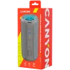 Canyon CNE-CBTSP15BG pārnēsājams skaļrunis smilškrāsā