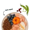 BOSCH Sanabelle Adult Trout & Blueberries - sausā kaķu barība - 2 kg