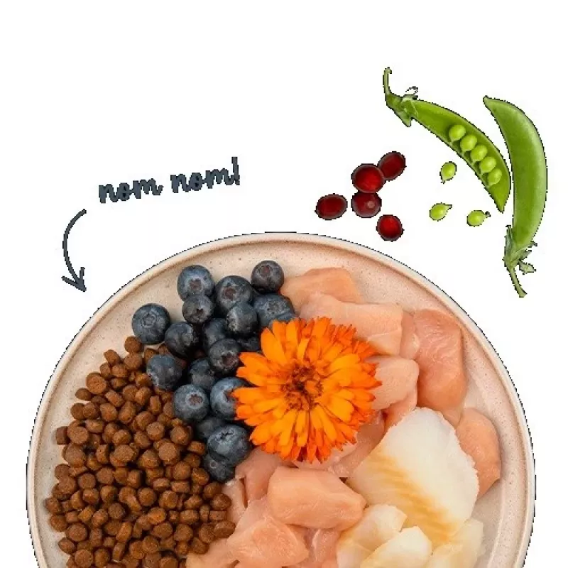 BOSCH Sanabelle Adult Trout & Blueberries - sausā kaķu barība - 2 kg