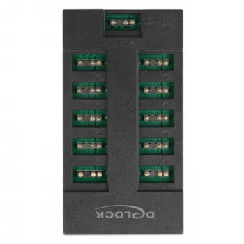 Delock - RGB LED gaismas centrs - 10 porti - Melns (64128)