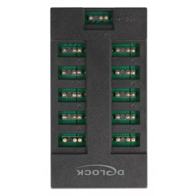 Delock - RGB LED gaismas centrs - 10 porti - Melns (64128)