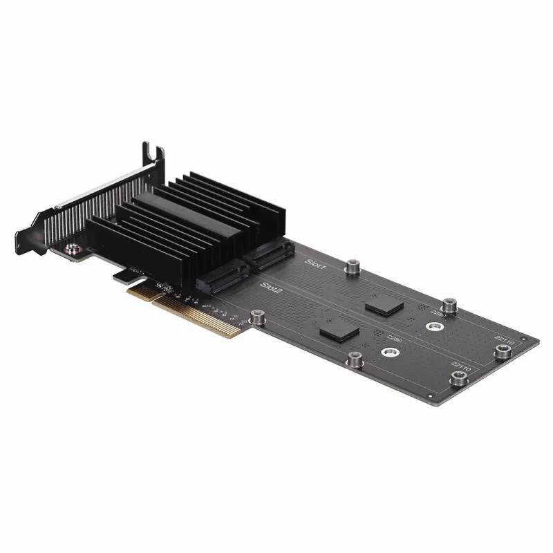 Synology M2D20 interfeisa kartes/adapteris iekšējais PCIe