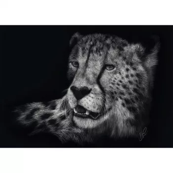 Ashley Rader: Speed - Gepard, In the Sign of Grace, Puzzle 1000 gab.