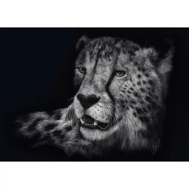 Ashley Rader: Speed - Gepard, In the Sign of Grace, Puzzle 1000 gab.