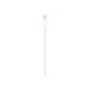 Apple Lightning uz USB kabelis 1m MUQW3ZM/A