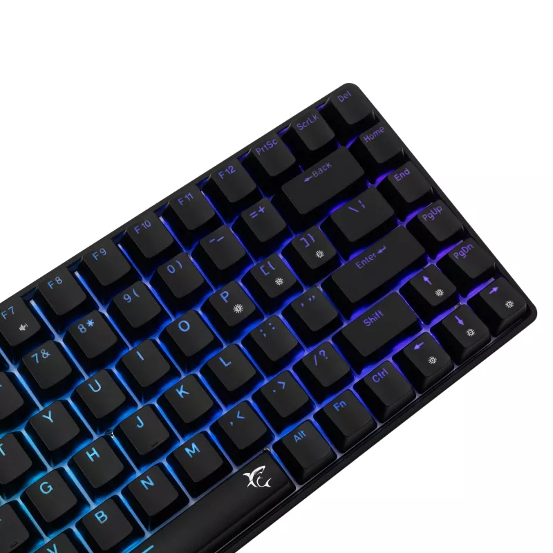 Mehāniskā tastatūra White Shark GK-005121 ar RGB apgaismojumu un Blue slēdžiem