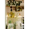 LED spuldze Segula 55058 Silti balta 1900 K 6 W E27