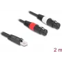 DeLOCK 88176 audio kabelis 2 m RJ-45 2 x XLR 3-pin Melns