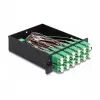 DeLOCK Fiber Optic HD Cassette MPO tēviņš uz 12 x LC Duplex mātīte 24 šķiedras vienmoda 9/125 µm