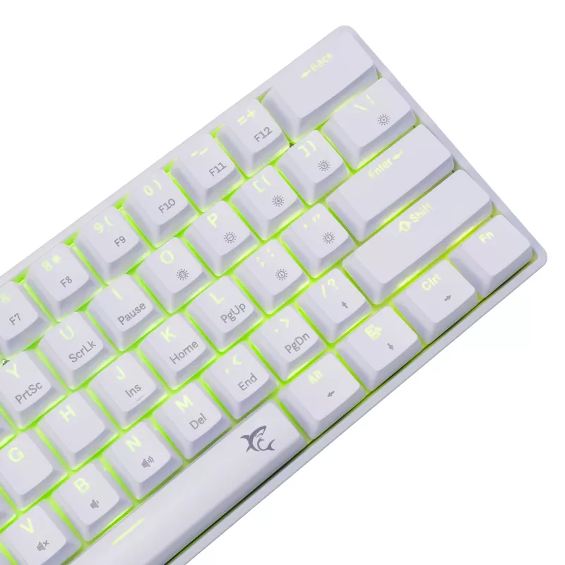 Vadu mehāniskā tastatūra White Shark Shinobi-2 (GK-004221) — zilie slēdži, balta, ASV izkārtojums