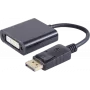 DisplayPort-DVI adapteris ShiverPeaks 14-05007 — DisplayPort 1.1 uz DVI 24+5