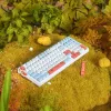 VGN V98 Pro spēļu tastatūra, Box Autumn - Maple Sugar ierobežotā izdevuma (ASV)