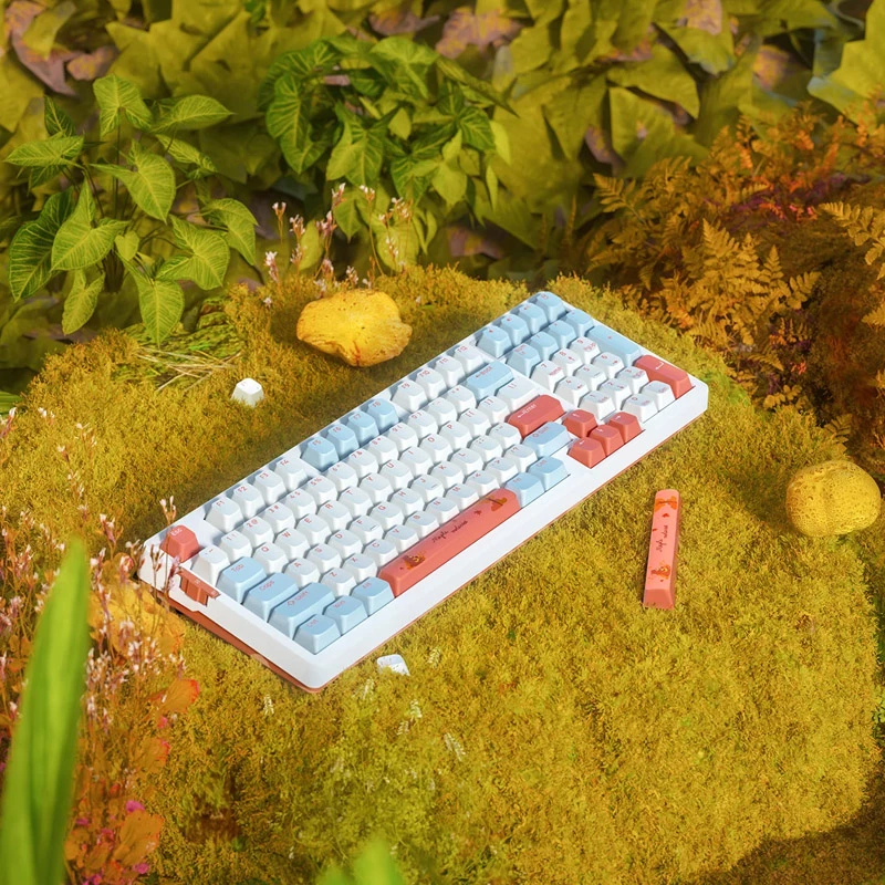 VGN V98 Pro spēļu tastatūra, Box Autumn - Maple Sugar ierobežotā izdevuma (ASV)