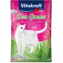 Kaķu zāles sēklas Vitakraft 50 g — ēdams augu maisījums kaķiem, 50 g paciņa, atbalsta gremošanu un apmatojuma kamolu izvadīšanu