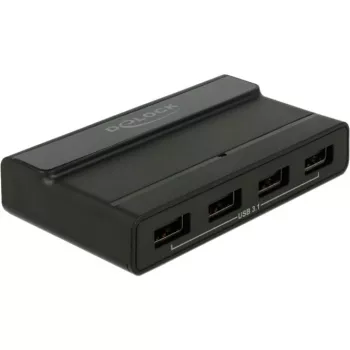 USB centrmezgls DeLOCK ārējais 4 portu 10 Gbps