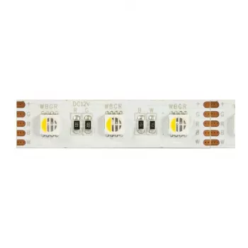 Synergy 21 LED Flex Strip 5050 - 60 RGB DC24V + RGB-W vienā mikroshēmā nw IP20