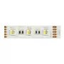Synergy 21 LED Flex Strip 5050 - 60 RGB DC24V + RGB-W vienā mikroshēmā nw IP20