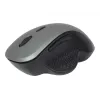 Optiskā pele Gembird MUSW-6B-02-BG USB