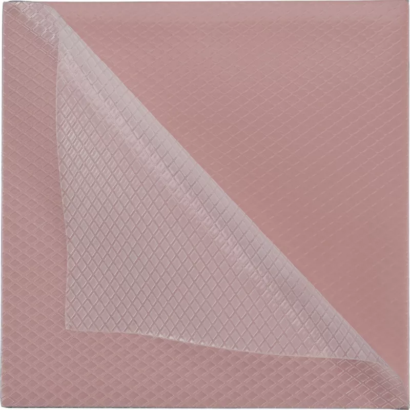 Thermal Grizzly Minus Pad 8 - 100 x 100 x 0,5 mm, 2 gab.