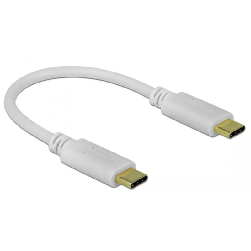 Delock - USB-C / barošanas kabelis - 24 kontaktu USB-C (M) uz 24 kontaktu USB-C (M) - 5 A - 15 cm - USB barošanas avots (100 W), atbalsta Power Delivery 2.0 - Balts (85357)