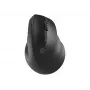 Bezvadu optiskā pele NATEC CRAKE 2 — Bluetooth 5.2, 2400 DPI, 6 pogas, labā roka, melna