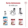 ROYAL CANIN SHN Medium Adult Loaf Can 410g