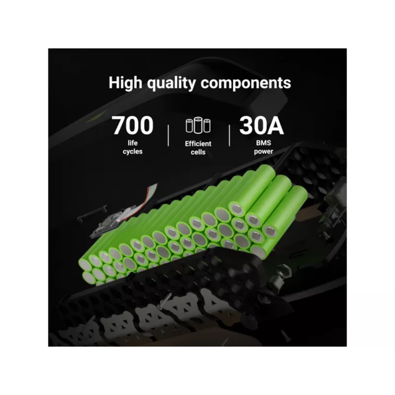 baterija zaļa Cell EBIKEGCF02 48V 13000mAh Lithium-Ion