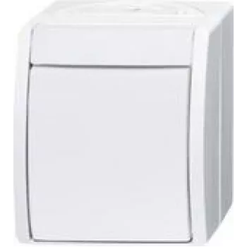 Busch Jaeger izslēdzējs 2601/2 W-54 (2CKA001085A1627)