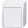 Busch Jaeger izslēdzējs 2601/2 W-54 (2CKA001085A1627)