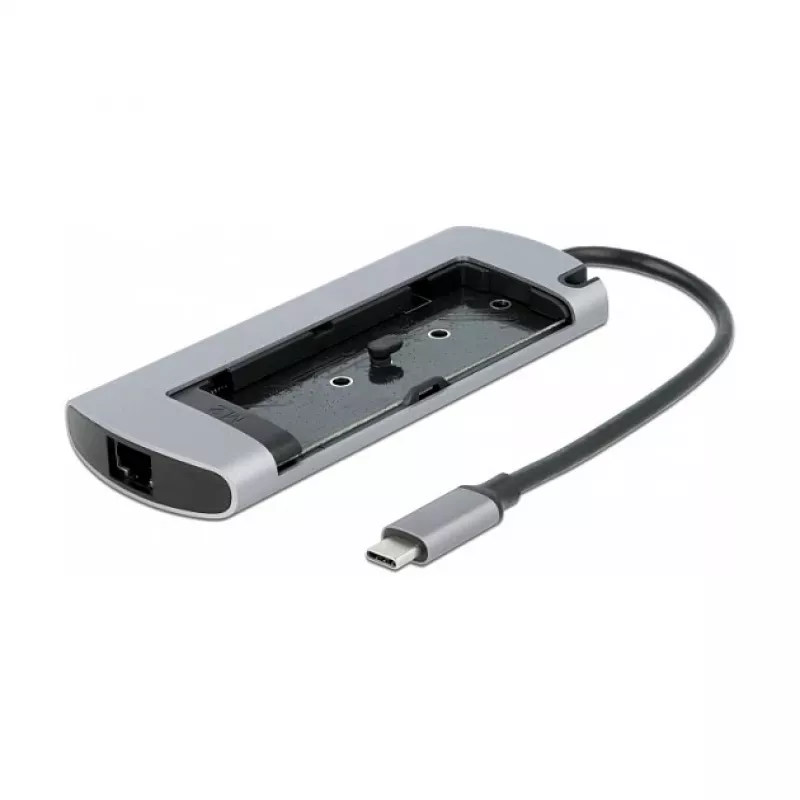 Docking Station DeLOCK USB Type-C Docking Station with M.2 Slot